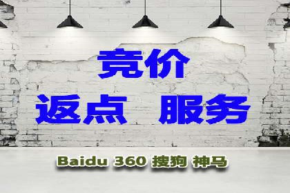 百度竞价推广成功案例解析